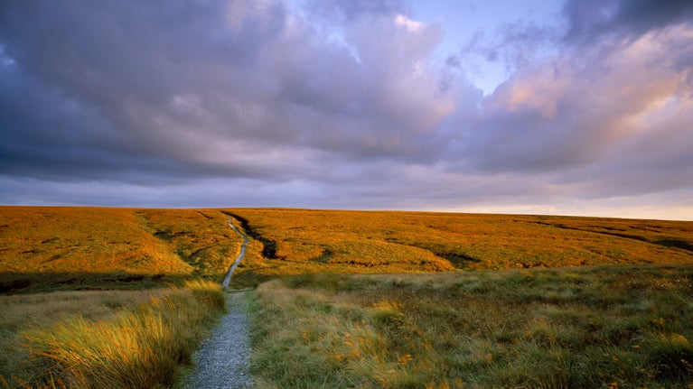 Close view of the Pennine Way path at Standedge on Marsden Moor, West Yorkshire